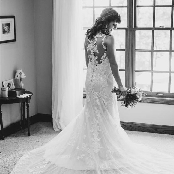 Meet your Posher, Bailey - Picture 3 of 6